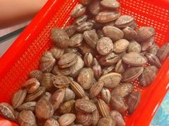 -邹开喜·炭炉鸡煲·海鲜火锅(虹口足球场店)