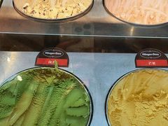 -雍容荟活波龙自助餐(IFS黑金店)