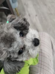 -一个差评成就的纹眉店