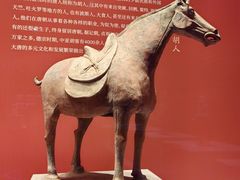 -陕西历史博物馆