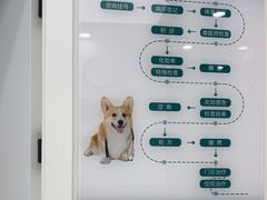 -瑞派康怡24h宠物医院·犬猫医疗中心·微创绝育(瑞景分院)