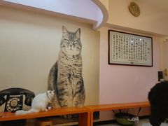 -我爱猫咪·猫咖·狗咖·安哥拉兔·羊驼咖(小寨华旗店)