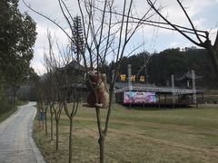 -黄陂区野村谷景区