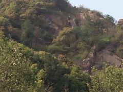 iphone_upload_pic-灵岩山风景区