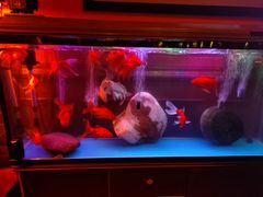 -無名记忆Music Bar夜景怀旧酒吧