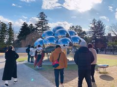 -金泽21世纪美术馆