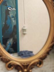 -健身堂科技美肌SPA