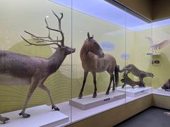 -国家自然博物馆