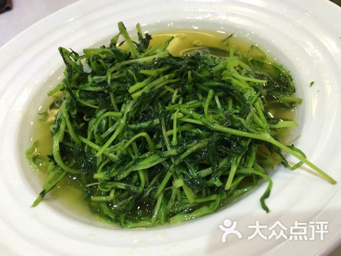 小神鲜餐厅(仙霞路店)松柳菜图片 - 第1079张