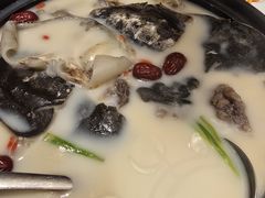 -潇湘甲鱼村(清河店)