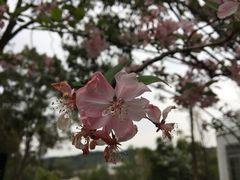 -富乐山