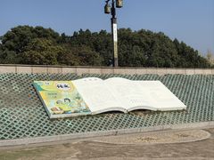 -观潮胜地公园