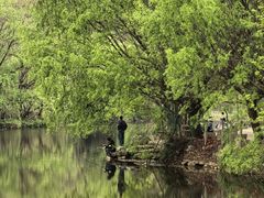 -高荡千年布依古寨旅游景区