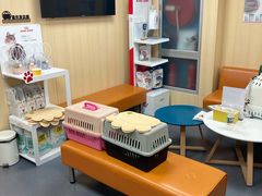-申普宠物医院·心脏介入·心血管微创(总院)