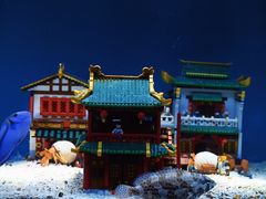 -上海海昌海洋公园