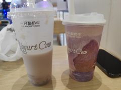 芋泥芝士紫米水牛乳-一只酸奶牛(海珠店)