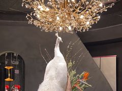 -滇野云南野生菌餐厅(陕西南路店)