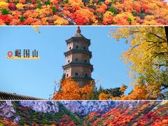 -迎泽公园