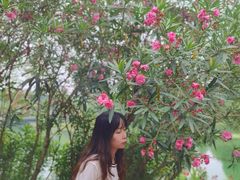 -滨湖塘西河公园
