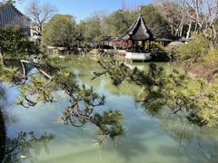 -上海醉白池公园