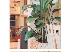 -Line 咖啡(石厦花园店)