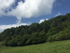 -大水川景区