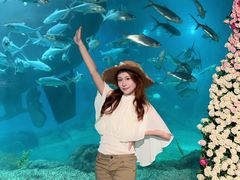 -福州罗源湾海洋世界旅游区
