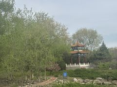 -滨河世纪广场公园