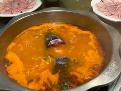 贵州酸汤鱼锅底-芦苇荡·酸汤鱼(回龙观店)