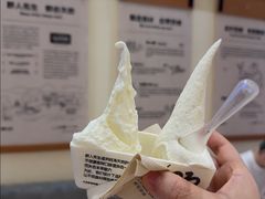 -野人先生现做冰淇淋(深圳壹方城店)