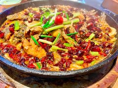 -老板恋上鱼(高新万达店)