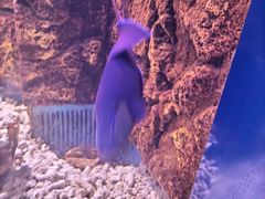 -常州海昌海洋探索馆