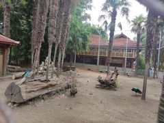 -云南民族村