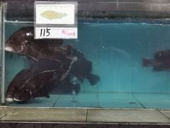 -钱大妈海鲜饭店(旅游大道店)