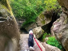 -秦岭终南山世界地质公园翠华山景区
