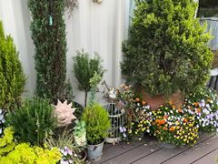 -花·fleur古董西餐厅(西城夜未央店)