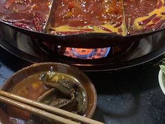 -肥龙火锅(南坪店)