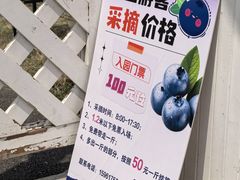 -鹅湖玫瑰文化园