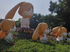 -深圳野生动物园