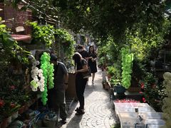 -曲阳花鸟市场(曲阳路店)