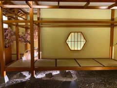 -汤泉良子(金源店)