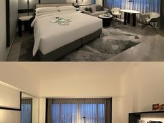 -新加坡乌节希尔顿酒店 (SG Clean)