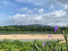 -广州白江湖森林公园