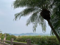 -碧桂园十里银滩