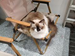 -seeu coffee(江滩店)