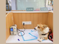 -联合动物医院(光谷诊疗中心)