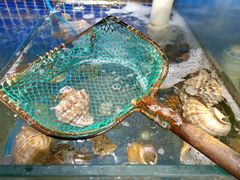 -蟹谢蒸鲜自助餐厅