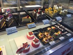 -卡吉诺动物奶油生日蛋糕(东明路店)