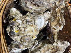 -蚝堡海鲜·威海菜·海肠捞饭·烧烤·亚洲吃蚝公司(幸福门店)