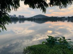 -东湖食堂·湖景餐厅•会议